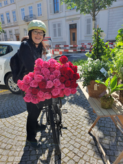 Annemarie Heiniger organizing the roses at Basel.