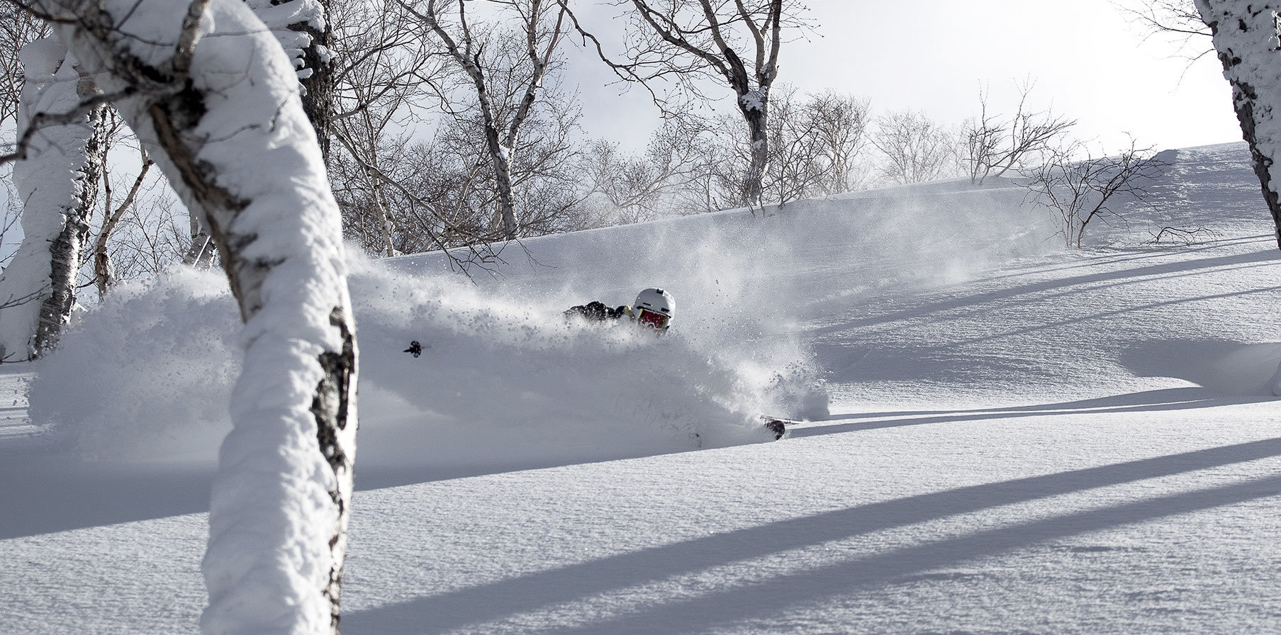 Matthias taucht im feinsten "Japow" ab. || Foto: www.lensofxare.com 