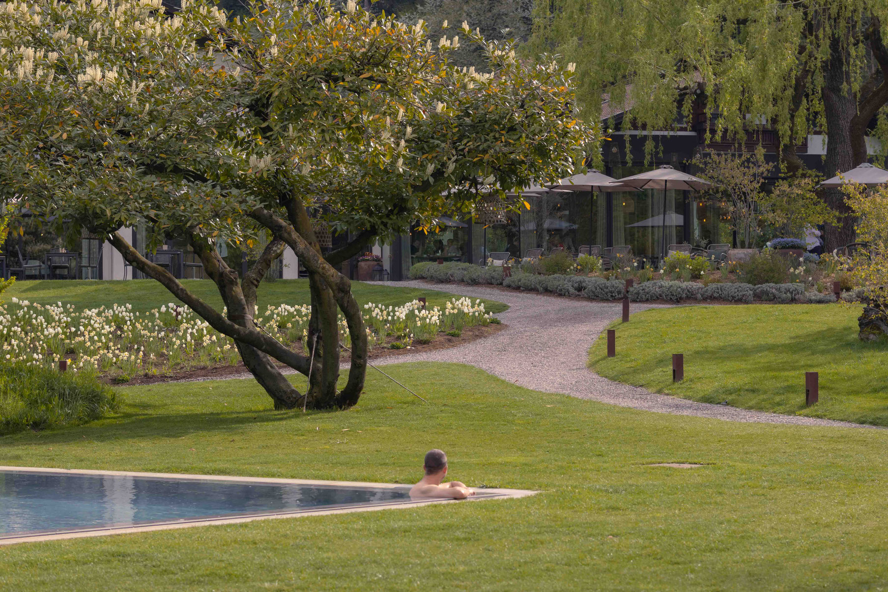 The Apple Hotel’s spacious garden, featuring a natural pool, flowering plants and a peaceful, relaxing atmosphere amidst mature trees. _fullwidth-story-splash