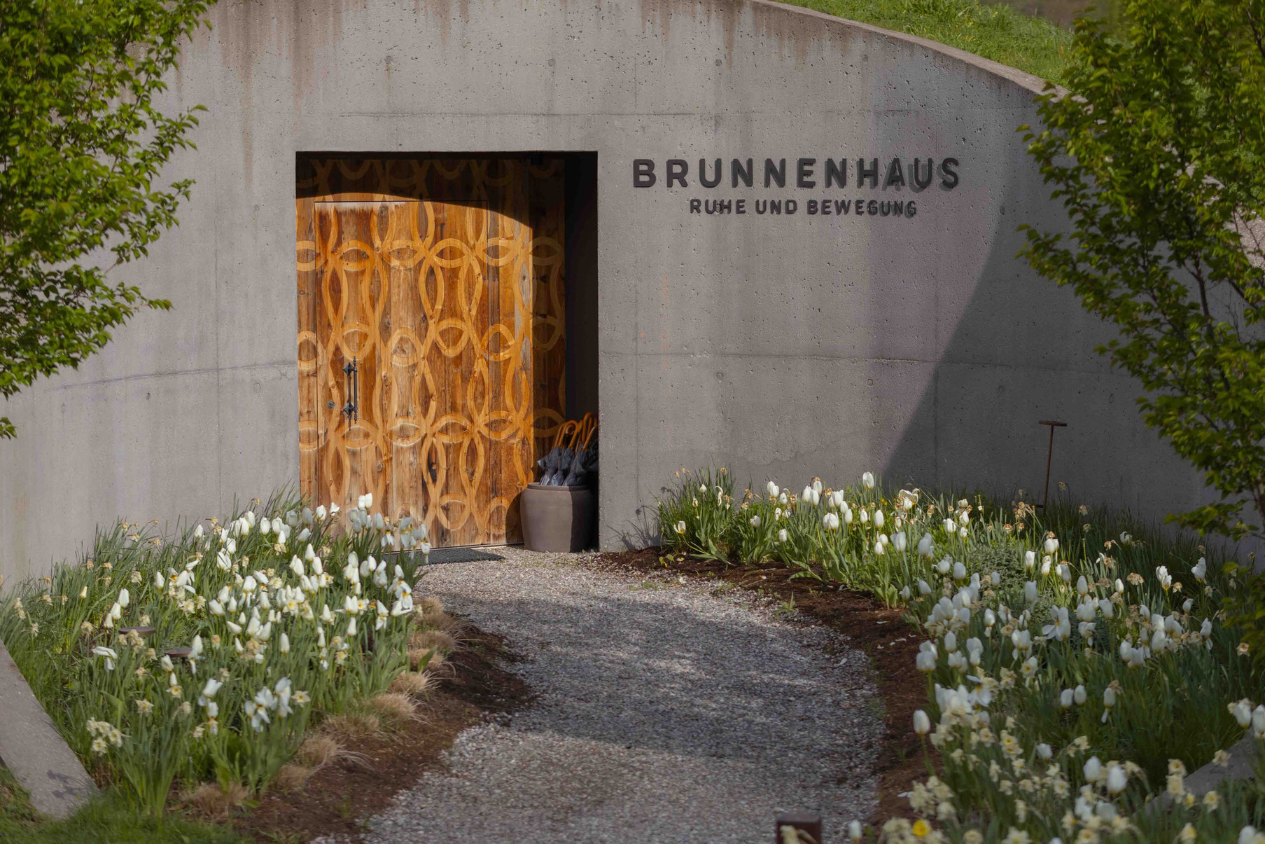 The entrance to the fountain house in the wellness area of the Apfelhotel, featuring a modern concrete design, an ornate wooden door and a garden path lined with flowers.
