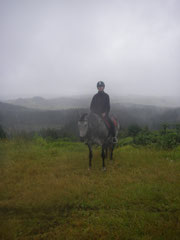 mit Jazzie im Regen auf dem Vulkan