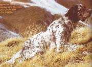 Lio du Val D'autan