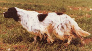 Almer