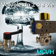 MCVH