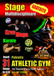 Stage Multidisciplinare