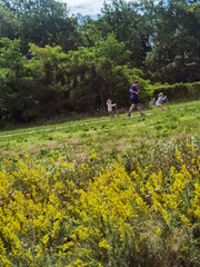 Jogger und Kinder mit Roller fahren im Hans-Baluschek-Park. Foto: Helga Karl