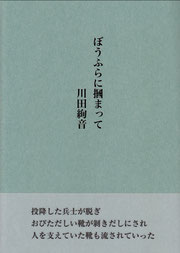 A5並製　本体2000円＋税ISBN4-434-16498-9