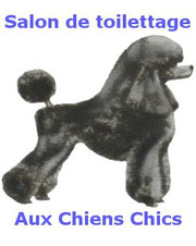 Logo salon de toilettage