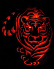 Halloweenmotiv Tiger