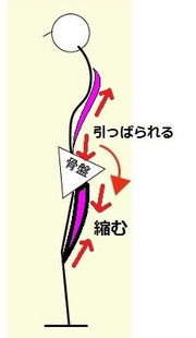 奈良県広陵町の男性