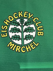 Eishockeytrikot im Rahmen