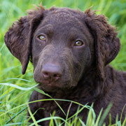 Foto: ©Corinne Keller