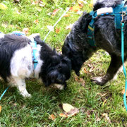 Foto: © Esther Hufschmid