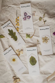 Pegatinas Botánicas para Eventos Corporativos y Celebraciones Particulares