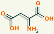 Acido aspártico aminoácido