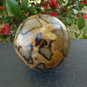 sphere septeria site alain rivera