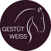 Gestüt Weiss • Pferdepension • Reitschule • Zucht