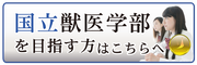 入試情報(国公立獣医)インフィア