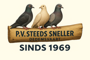 Postduiven Vereniging Steeds Sneller Dedemsvaart