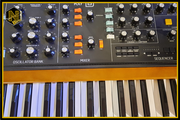 Nancy Berie's Synthesizer Behringer Poly D 