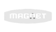 Magnet