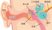 大阪府　堺市　耳鼻科　耳鼻咽喉科　しまだ耳鼻咽喉科　めまい　難聴　耳鳴り