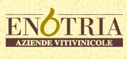 Cantina Enotria Vino Cirò doc