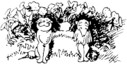 Wilhelm Busch Fipps, der Affe