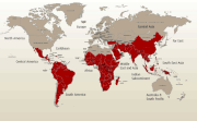 Mapa mundial de la malaria.