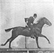 High speed photography, Muybridge, 1878