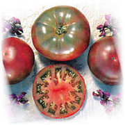 Cherokee Tomate