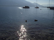 Lago Maggiore