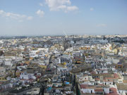 Blick von der Giralda auf Sevilla