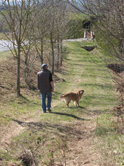 se promener avec son chien en liberté en Aveyron