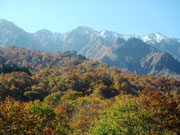 初雪の山々と盛りを迎えた紅葉