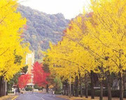 試験会場となる岡山大学