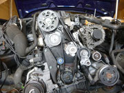 Motorsteuerung VW Passat 1,9 TDI