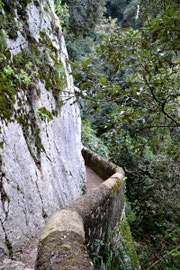 OmoGirando Villa Gregoriana