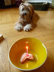 Wilmas 1. Geburtstag