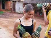 Pineapples from Bénin