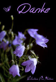 #Reiki, #Quantenheilung, #Schamanismus,