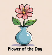 image de présentation pour le rituel la fleur du jour