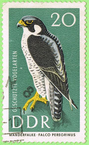 Germany 1967 - Falcon