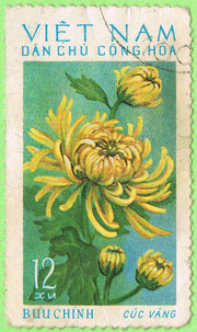 Vietnam 1974 Chrysanthemum
