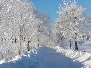 traumhafte Winterlandschaft bei Mähring