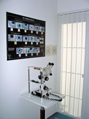 Augendiagnose