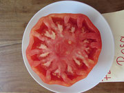 Tomate Rosa,flachrunde,hellrote Früchte. Bild Bio Gärtnerei Kirnstötter