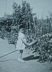 Enfant chevauchant un balai dans le très grand jardin potager  (années 50 dans le Calvados)