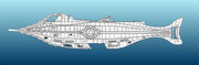 Nautilus