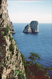 Capri, Faraglioni-Felsen